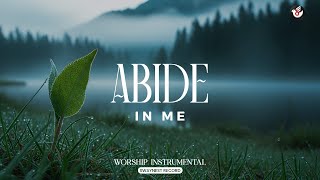 Abide in Me - Prayerful instrumental: listen and draw near for renewed strength screenshot 3