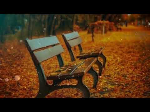 كذب المهندس والمنجم مثله عبد الله المهداوي 