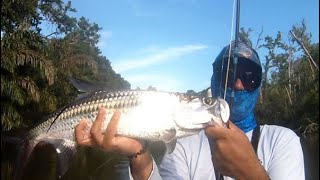 Tarpon On The Fly Costa Rica Ebi Fisher
