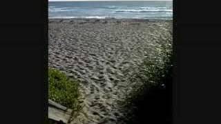 My Barefeet At The Beach April 2007