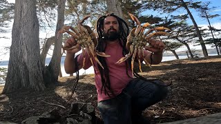 Limit of Dungeness ￼Crab in Tomales Bay on November 10, 2025.