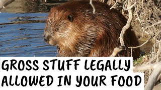 Full 7 Grossest Ingredients Legally Allowed In Your Food Update