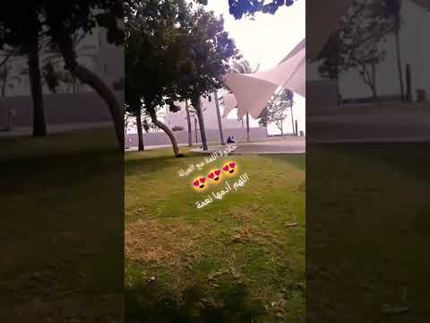 نكيف قبل الشووووب جدة سعادة نزهه فرح فرحة ملاهي لعب اطفال جوي روعة تحفة السعودية قطر