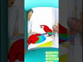 Amazing Flipbook Drawing of Cat, Dog & Macaw Bird #flipbook #trending
