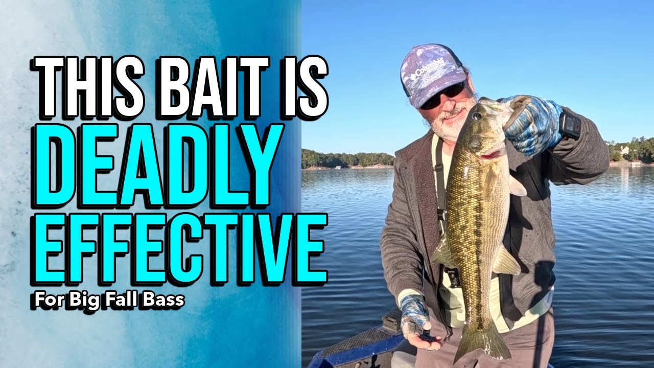 Deadly Effective Fall Bass Fishing Lure