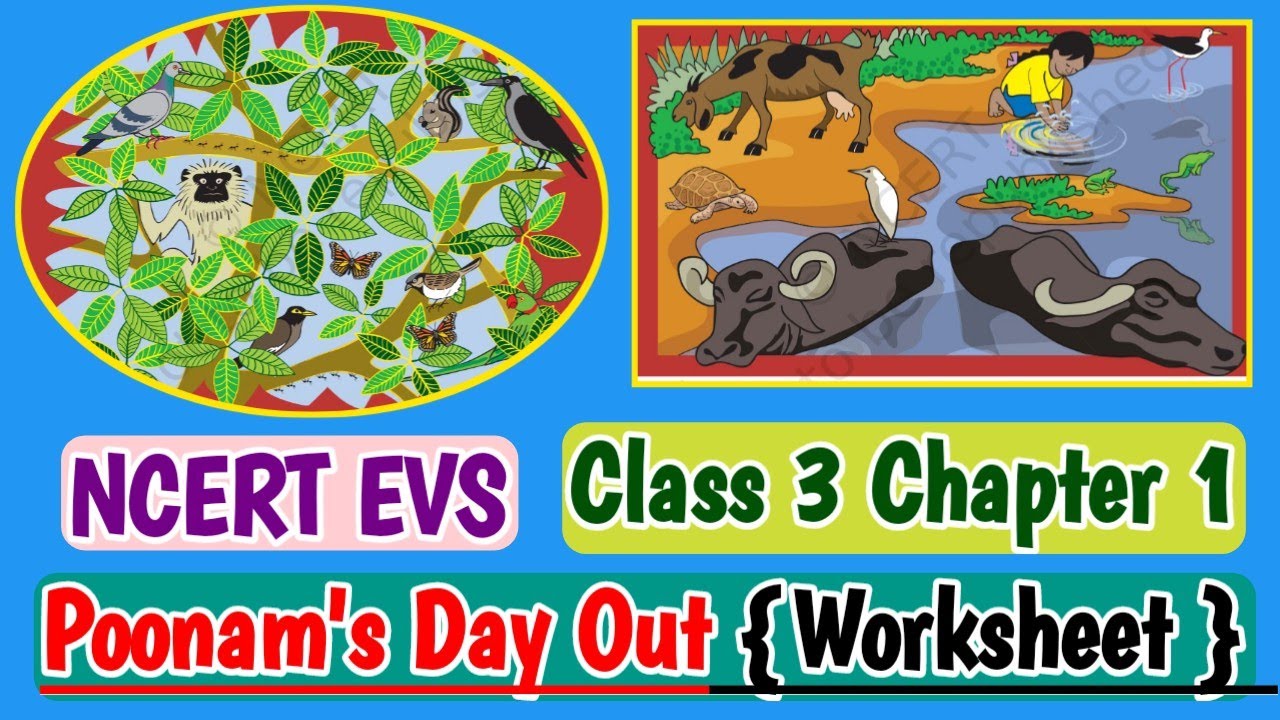 Poonam's Day Out {worksheet solution}NCERT EVS / Class 3/ Chapter 1 ...