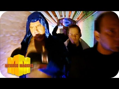 Boxer | Mensch Markus