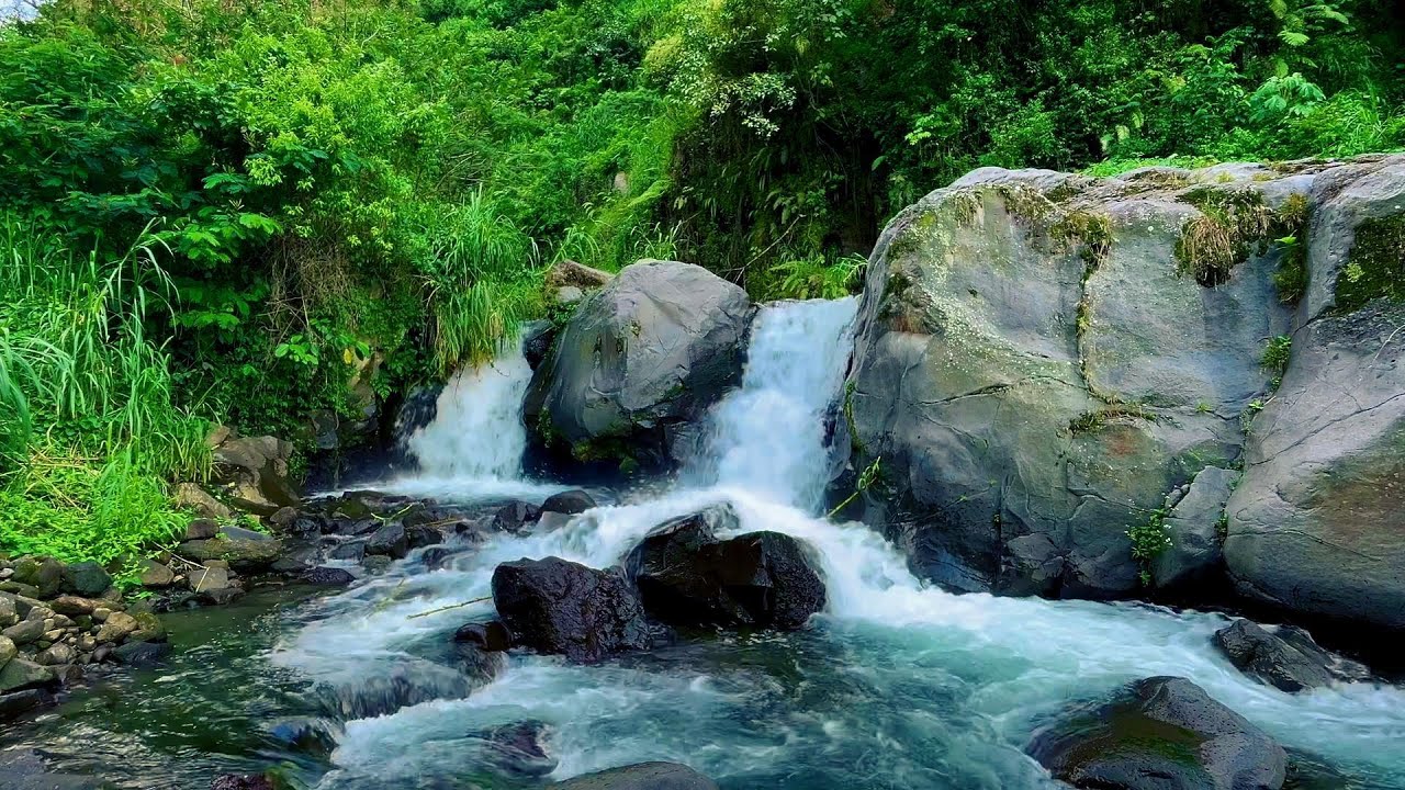 Water Stream for Relaxation and Healing - Nature Treasure | sleep - relax - enjoy life - ASMR
