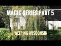 “Magic” Series:  Part Five  Weeping Wisconsin   December 23, 2020