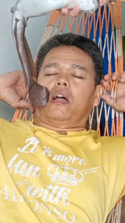 Batot a #video #funny #trending #fyp #viral