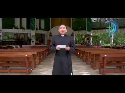 Ayudar a la Iglesia es dar gracias a Dios