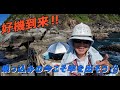 クエ【アラ】 宮崎県幸島 船付でアラを狙う‼　“Targeting Giant Grouper from the Boat at Kojima, Miyazaki!”