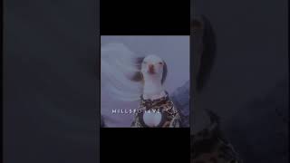 Intro Creds Inspo シ シ