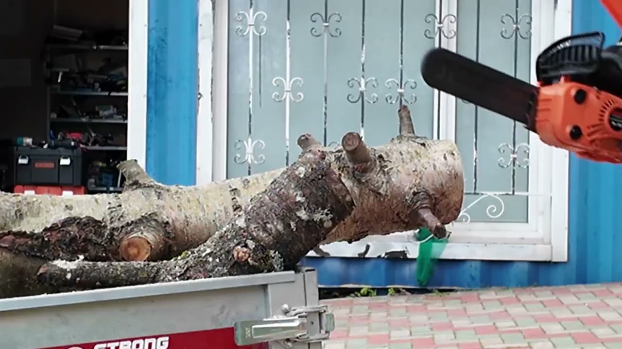 пилим разными пилами давно