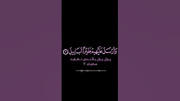 سورة الفيل للقارئ الشيخ ياسر الدوسري ❤️🤍🎧