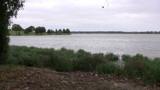 Dallas Urban Legends