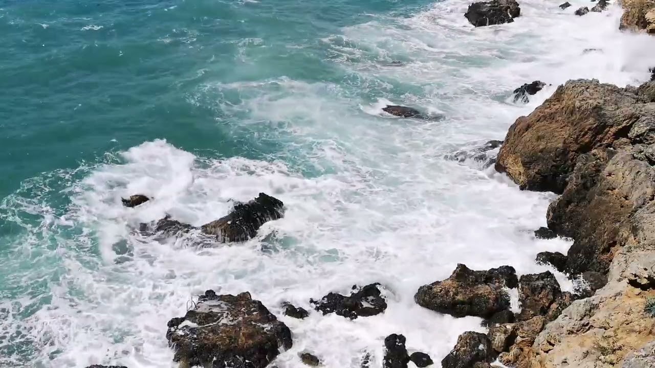 Lofi Music for Reading and Studying 📖🎶