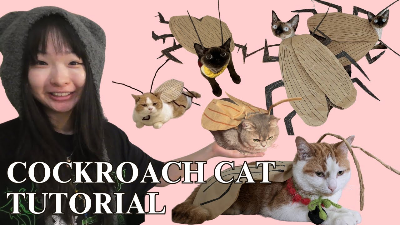 How To Turn Your Cat Into A Cockroach