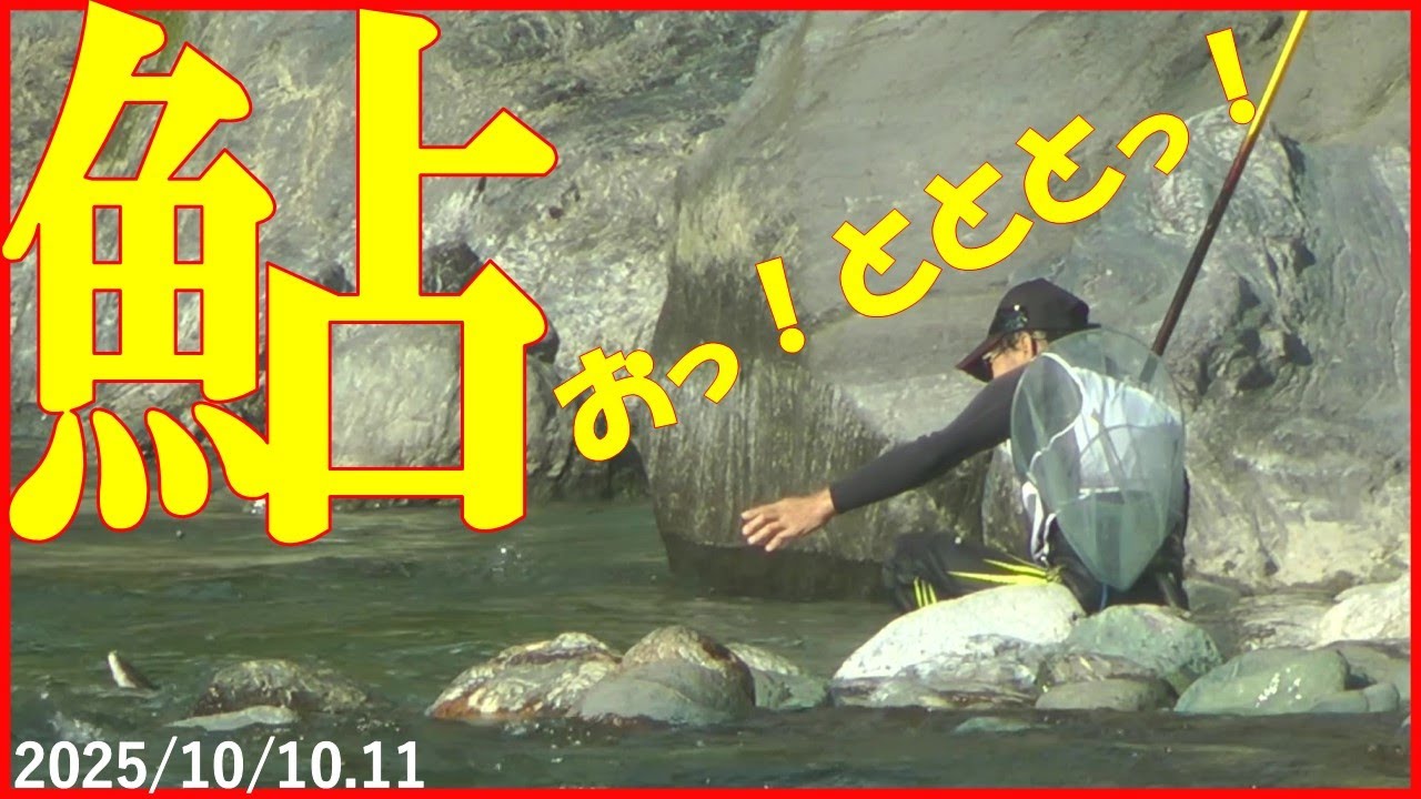 11 октября 2025 г., река Ёсино [Встреча с этой рыбой] Надеюсь, мне удастся её поймать! Канал Наньчан