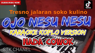 OJO NESU NESU SAYANGKU(NADA COWOK) KARAOKE DANGDUT KOPLO STK CHANEL