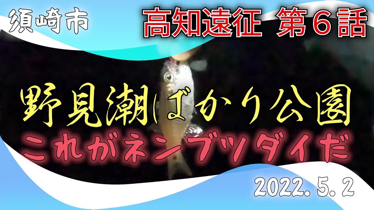 GW高知遠征 第6話 ネンブツダイング 高知県須崎市野見潮ばかり公園 2022.5.2