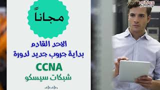 CCNA  مجاناً حضور دورة شبكات سيسكو