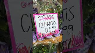 Instead Of Buying Flowers Its Better To Buy Rice