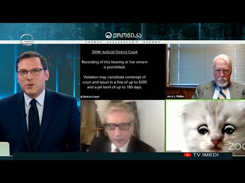 \"ადვოკატი კატა\" სასამართლო სხდომაზე