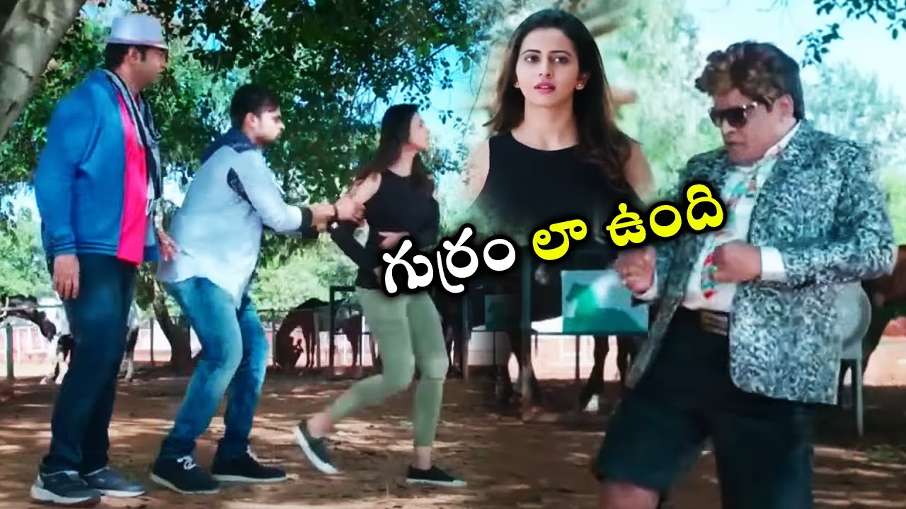 Rakul Preeth Singh And Mohammad Ali Comedy Scene || Sai Dharam Tej || Winner Movie || Prime Movies