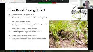 Managing Your Land for Game Birds