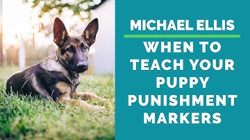 Michael Ellis on When to Teach Your Puppy Punishment Markers