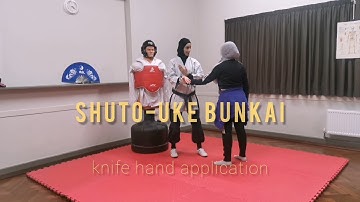 Shuto Uke Bunkai