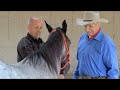 Horse sense  soldiers with monty roberts