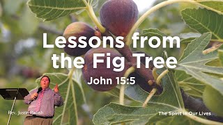"Lessons from the Fig Tree" - Rev. Justin Parrish (8-4-24 PM)
