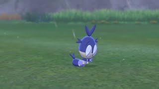 색이 다른 두루지벌레를 만나다! (Shiny Blipbug)