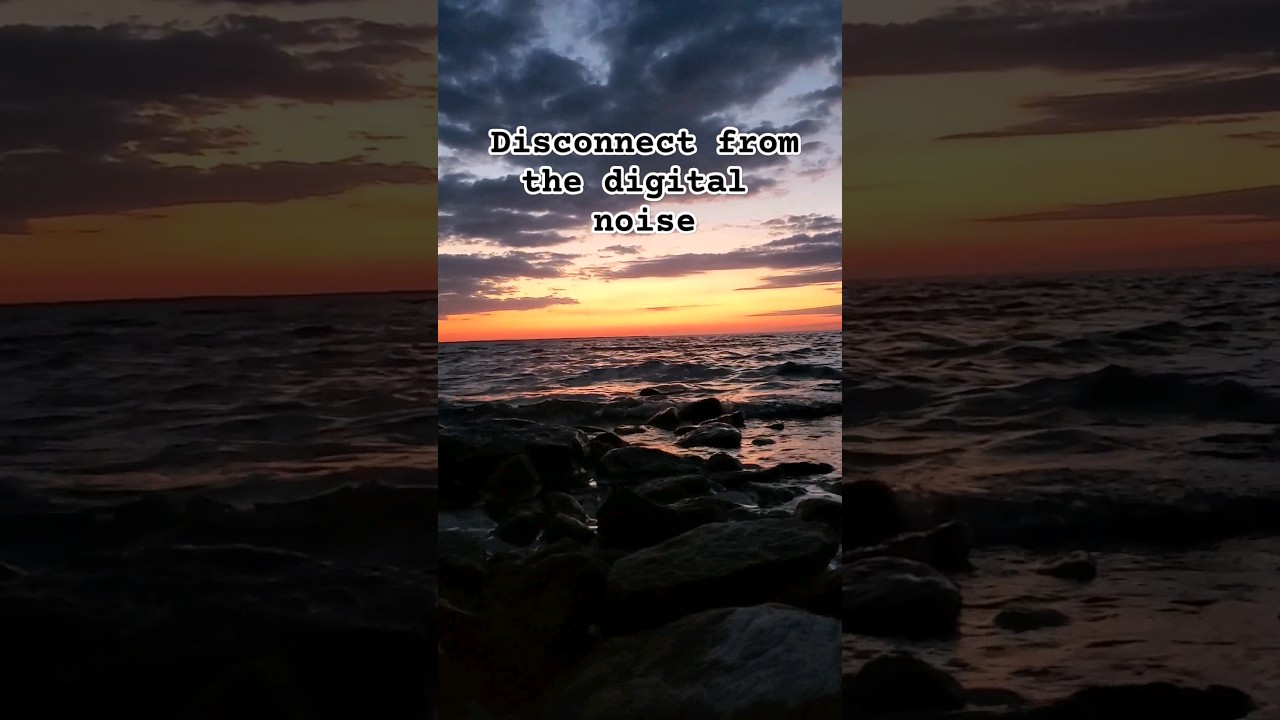 rediscover the sound of silence 