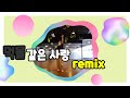 먹물같은 사랑remix 임성은 한국트레이너진 협회 세미나작품 트롯몸풀이