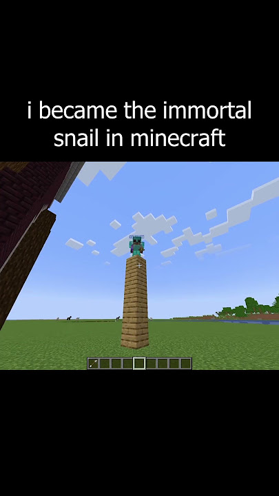 i became the immortal snail in minecraft