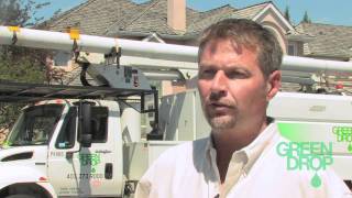 Green Drop - Landscapes Commercial Residential Home Garden Lawn Trees