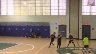 Alexandria soccer - u8 futsal goal