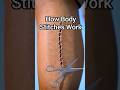 How body stitches work 😮 #shorts #zackdfilm #trending #viralshorts #unitedstates #shortsfeed #viral