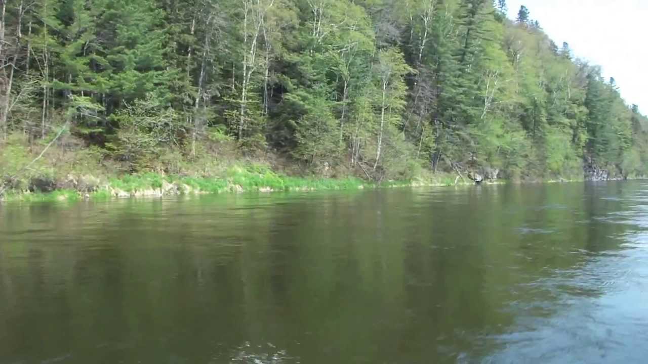 Хабаровский край река хор