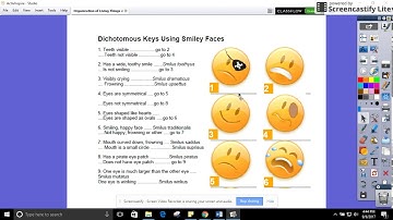 Lesson 1.8 Classification usign Dichotomous Keys and Cladistics