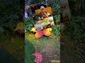 #timelapse #kuching #foodfestival #food #travel #sarawak #makan #jalanjalan #wow #fypage #fypviralシ