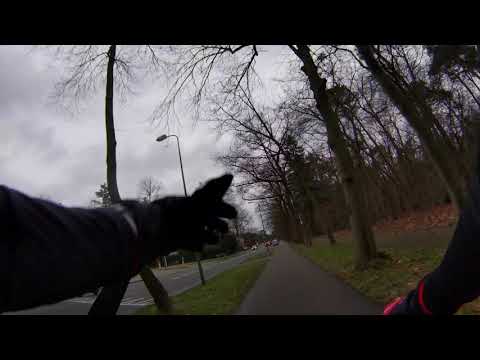 BikeLog #9 - Zeist MTB - 22/02/2020