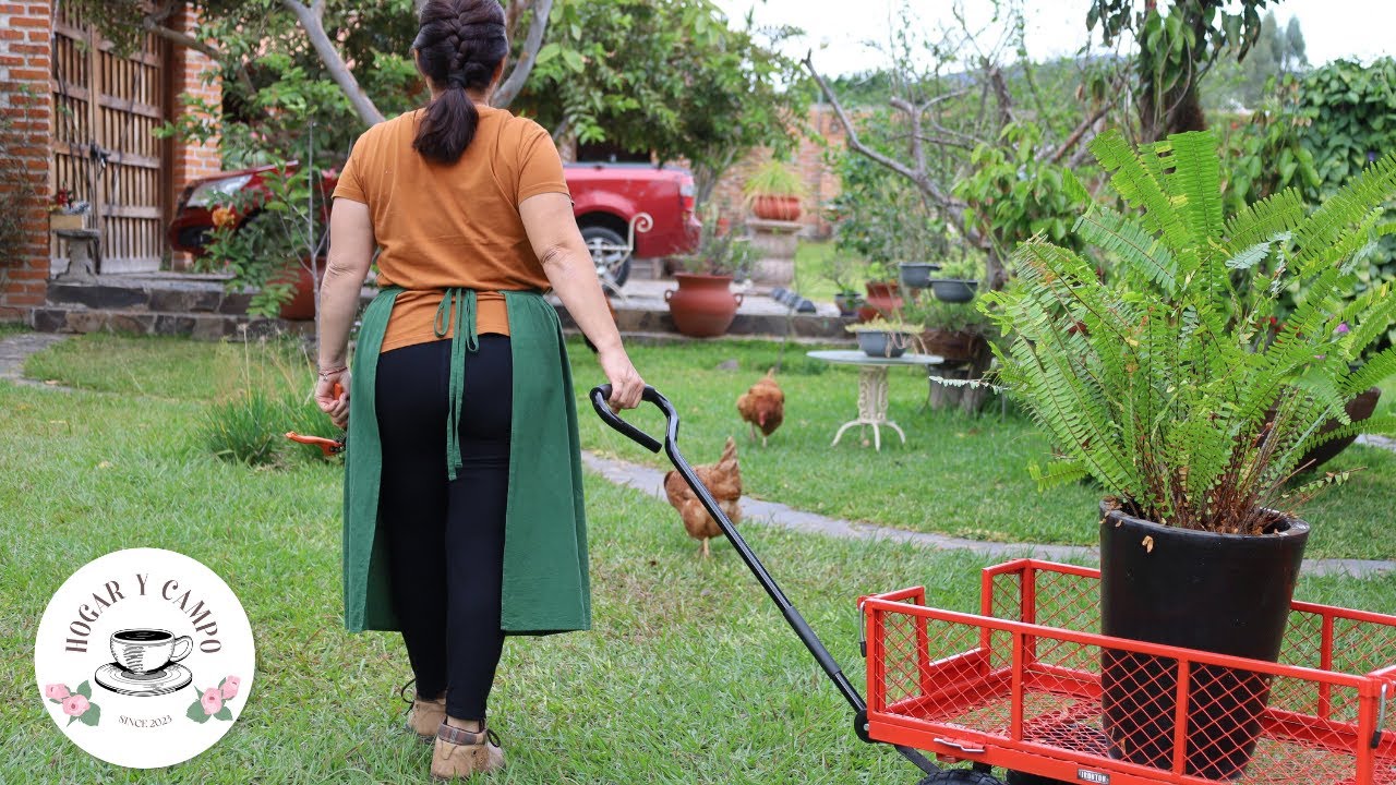 Carne al romero 🌿🥩| Tuétanos al horno | Puré de papa 🥔