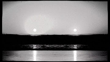 Electronic Butterfly