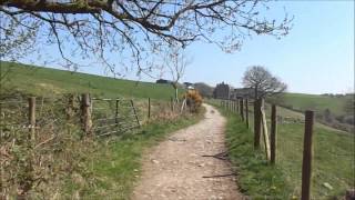 Winscombe to Cheddar, PART VII,'Thru Tynings Farm', by Sheila, April 20th 2015