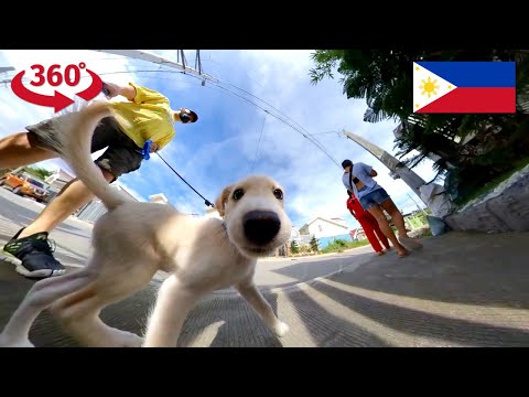 Thumbnail for Short 360° Walk on Christmas Day at Terraverde Residences in The Philippines