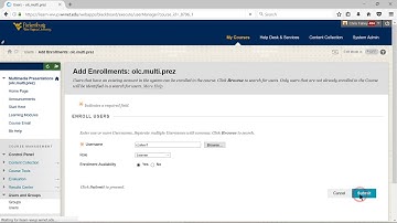 Add Users to Blackboard